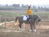 Besuch_Steff_Pferde 163